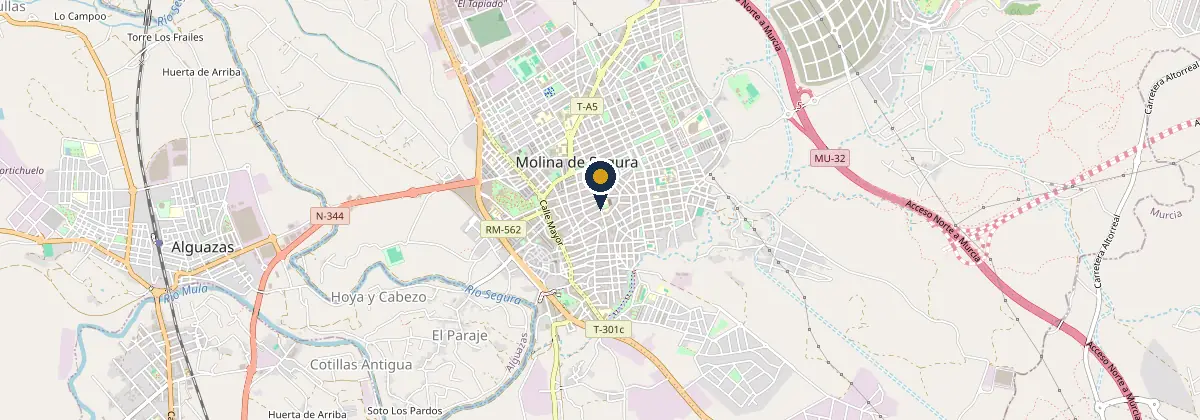 Mapa de Molina de Segura con la zona de trabajo de Pocero en Murcia